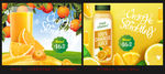 鲜榨橙汁水果饮料海报模板设计