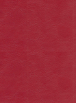 皮纹