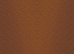 皮纹