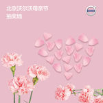 抽奖墙 母亲节抽奖 花瓣