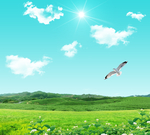 蓝天