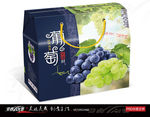葡萄包装 葡萄 巨峰葡萄展开图