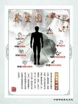 养生器官平面图