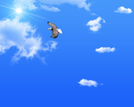 蓝天