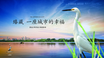 湖景 白鹭