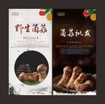 菌菇批发