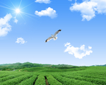 蓝天