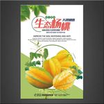 杨桃
