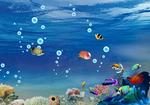 海底世界