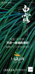白露