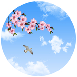 圆形蓝天白云