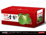 香梨 梨包装 库尔勒 展开图