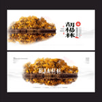 胡杨林