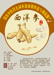 西洋参