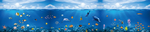 海底世界
