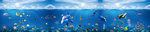 海底世界