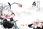 荷花