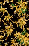 数码丁香花