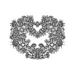 花纹
