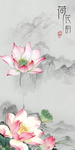 荷花