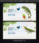 蜥蜴