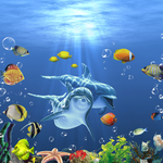 海底世界