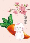 樱之兔