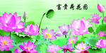 荷花图