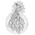 花纹