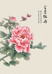 富贵牡丹