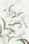 挂画