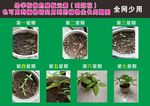 植物成长记 植物成长周期图