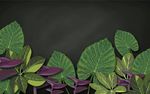 北欧现代简约植物电视背景墙