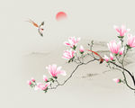 玉兰花