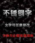 不锈钢字效果