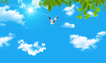 天空