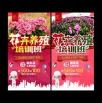 花卉养殖培训班