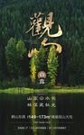 房地产白露观山海报