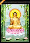 释迦摩尼