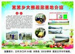 蔬菜基地