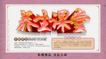 中医推拿