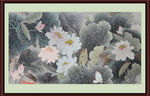 国画荷花