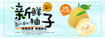 柚子 新鲜柚子