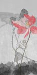 荷花装饰画