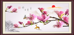 玉兰花