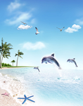 海洋沙滩