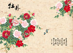 牡丹