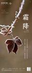 霜降节气海报