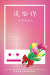 郁金香海报