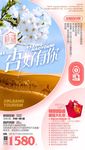 舌尖新疆